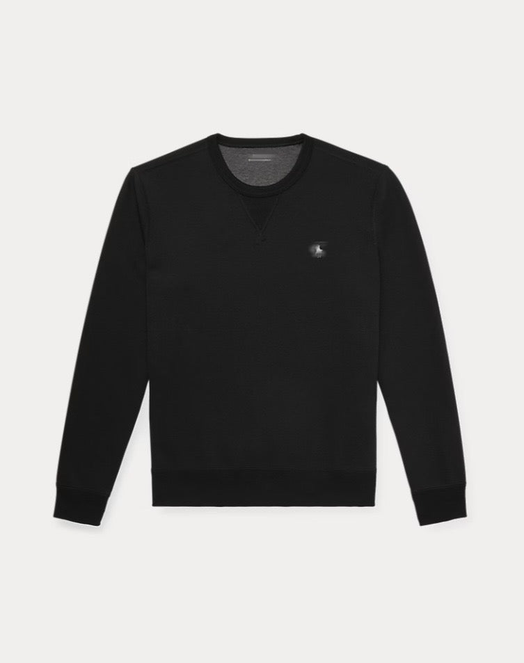 Polo RL Hoodies